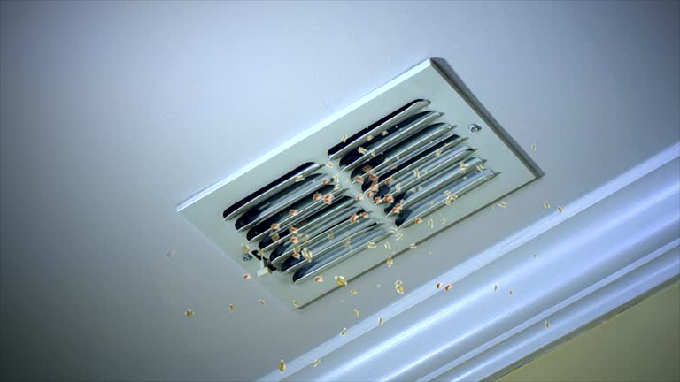 Best Best Air Duct Cleaning Company  in Sun Village, CA