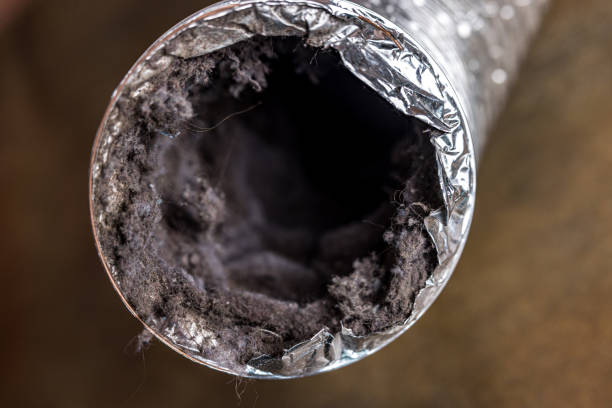 Best Local Air Duct Cleaning Services  in Sun Village, CA