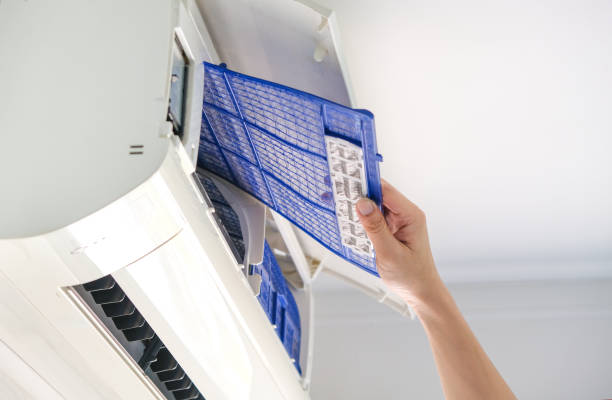 Best Air Duct Mold Removal  in Sun Village, CA