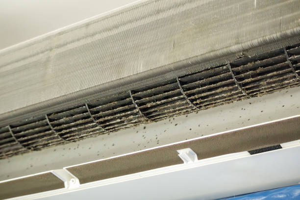 Best Home Air Vent Cleaning  in Sun Village, CA